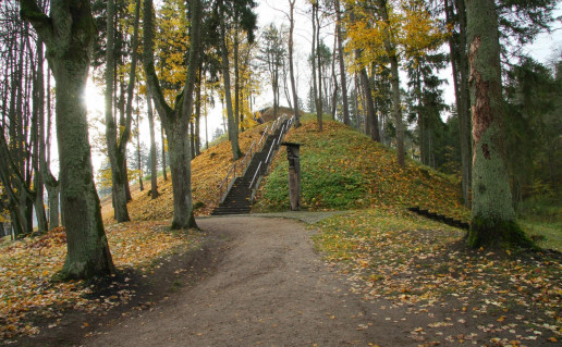 9_NKRP Birstono piliakalnis (1).jpg